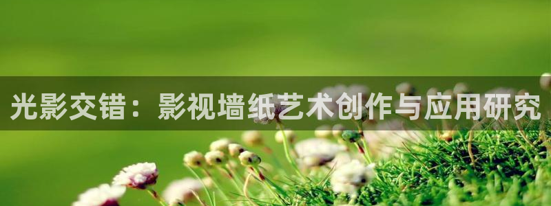 97免费免费视频