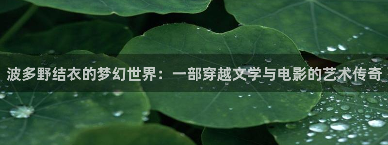 97视频聊天