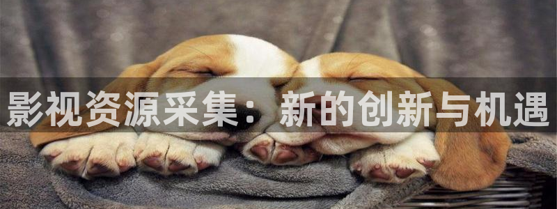 97线视频网站