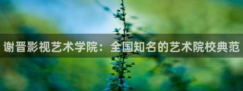 97超碰人人在线观看
