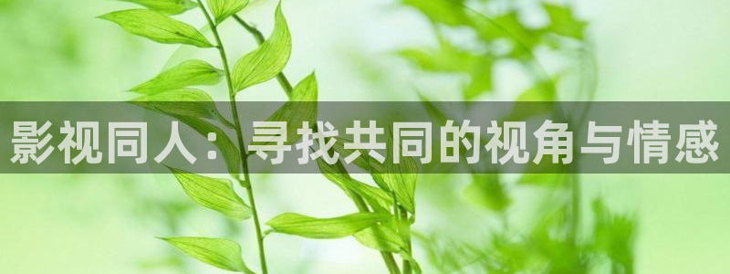 97秋霞电影网