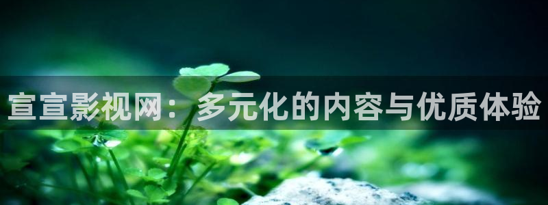 欧美视频97